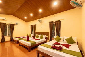 Dandeli Resorts