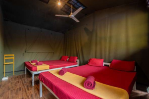 kingsize and queen size bedroom at Dandeli Resort